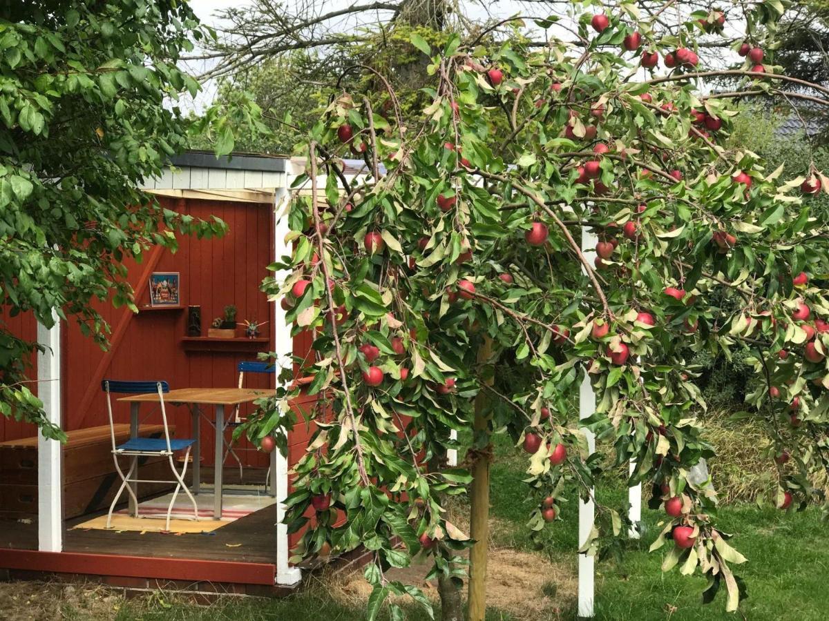 Schoenes-Ferienhaus-Mit-Garten-Mid-Century-Moebeln-In-Strand-Naehe-Avendorf Vila Avendorf auf Fehmarn Exterior foto